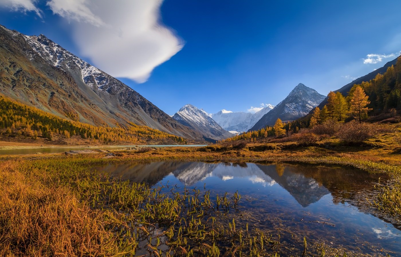 Mongolia's natural beauty-2.jpg
