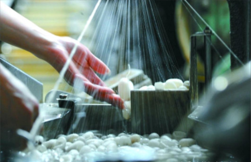 Chinese Silk Process 1.jpg