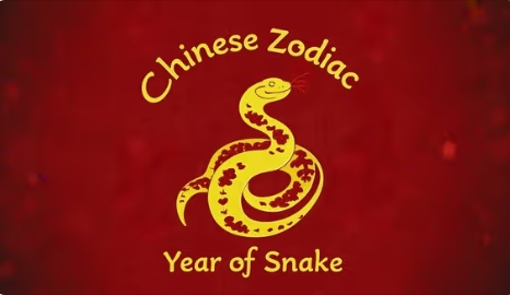 Snake.jpg