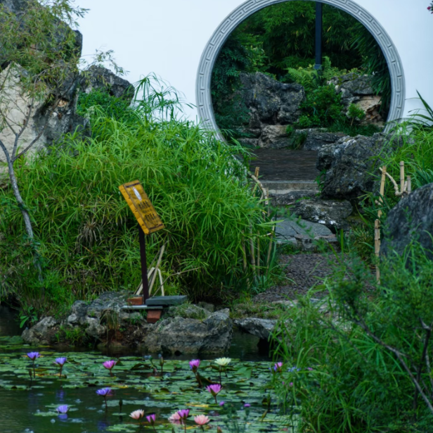 the-summer-of-yunnan.png