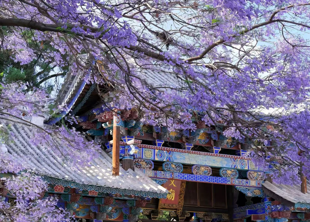 yunnan-tour-6.png