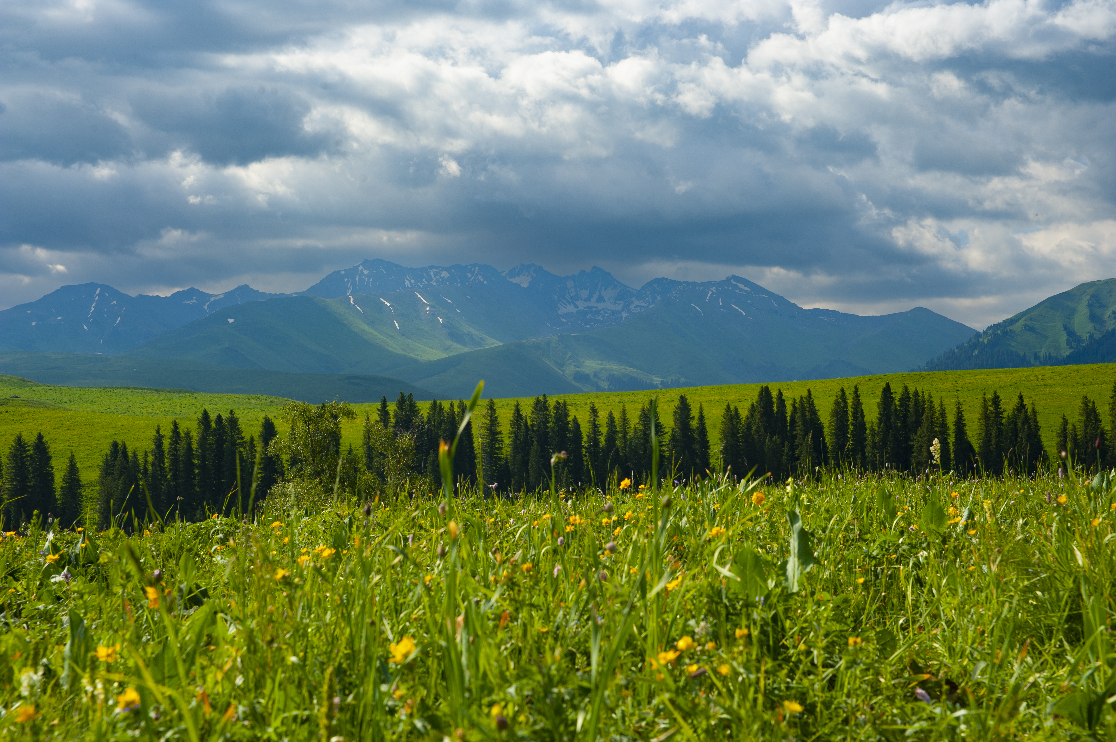 xinjiang summer.jpg xinjiang summer.jpg