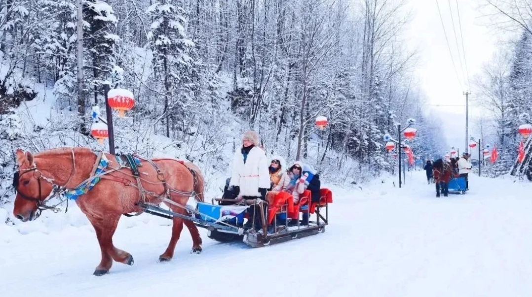 snowmobiling-sleighs